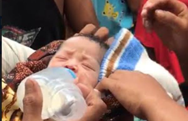 Warga Labusel Temukan Bayi Terbungkus dalam Kardus di Perladangan Sawit, Kondisi Masih Hidup