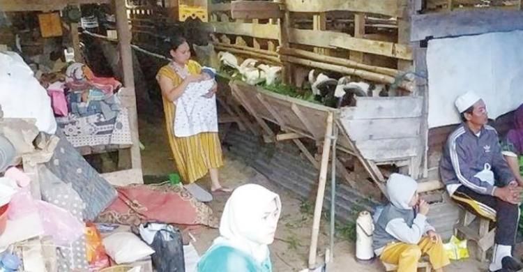 Sedih, Korban Gempa Cianjur Ngungsi Di Kandang Kambing