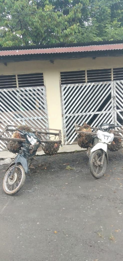 Lapor Pak Polisi ! Satpam PT Lonsum keberatan, Pulaknya Kreta Pencuri  Sawit Dilepas