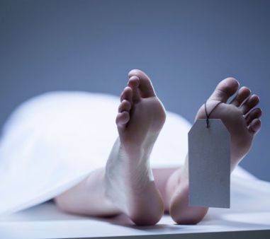 Seorang Pekerja Tambang di Papua Tewas Diserang Kawanan Bersenjata