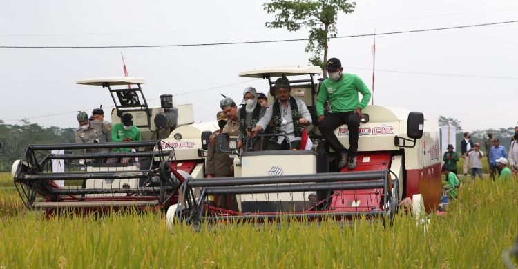 Mentan Panen Padi Aplikasi Biosaka
