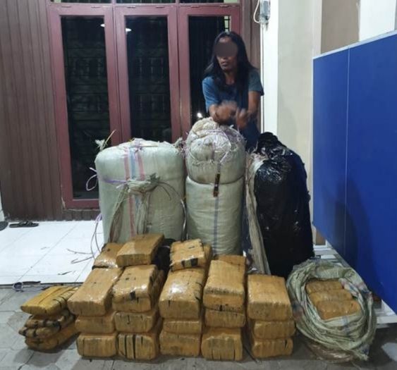 Kurir 200 Kg Ganja Diringkus Polda Sumut