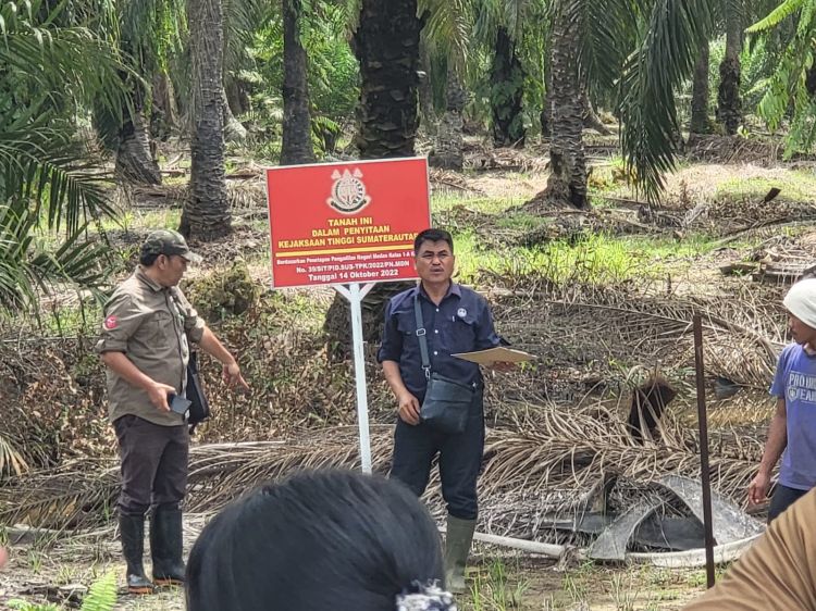 Kejatisu Sita Hutan Suaka Margasatwa Disulap Jadi Kebun Sawit di Langkat