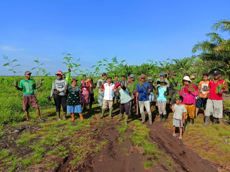 Lokasi Diusahai KTH KPLS Masuk Kawasan Hutan Produksi Milik Negara