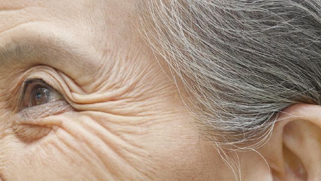 Mana yang Lebih Cepat Tua, Orang Gunung atau Anak Pantai?