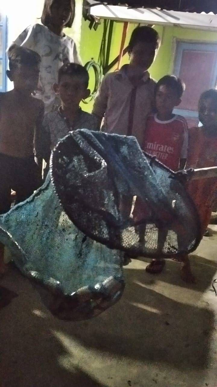 Teror Ular Berbisa Serang Korban Banjir Belawan