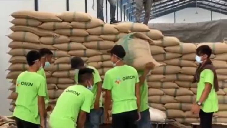 Sangat Diminati di Luar Negeri, 96 Ton Kopi Asal Sumut Diekspor ke AS dan Kanada