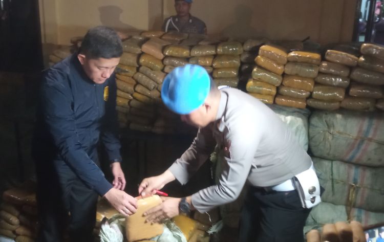 Polrestabes Medan Amankan Satu Ton Ganja, Begini Penampakannya