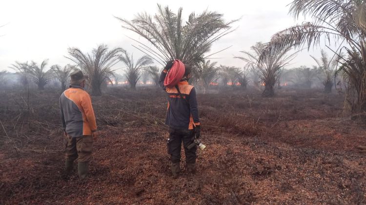 27 Hektare Lahan di Kotawaringin Barat Terbakar