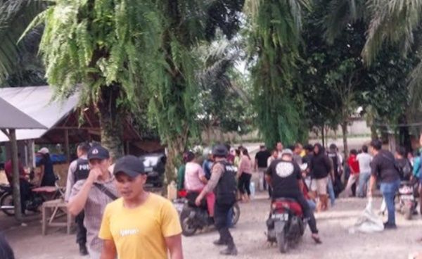 Grebek Kampung Narkoba di Deliserdang, Polisi Tangkap 13 Orang dan Ada Senjata Juga