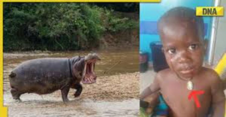 Ajaib, Balita Selamat  Usai Ditelan Kuda Nil