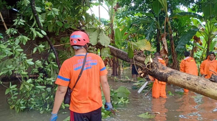 Bencana Hidrometeorologi Basah Terjang Wilayah Kendal