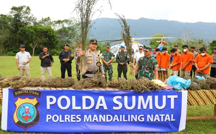 Irjen Agung Setya Pimpin Operasi Ladang Ganja Terluas