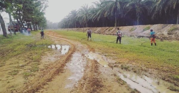 Pemkab Labura Bersihkan Jalan Membang Muda Aek Kanopan